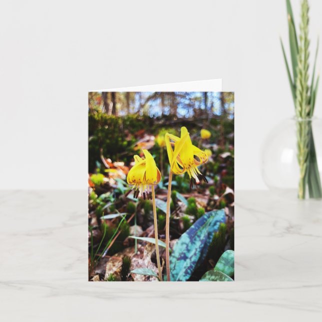 Carte de voeux pliée avec photo fleur sauvage (Devant)