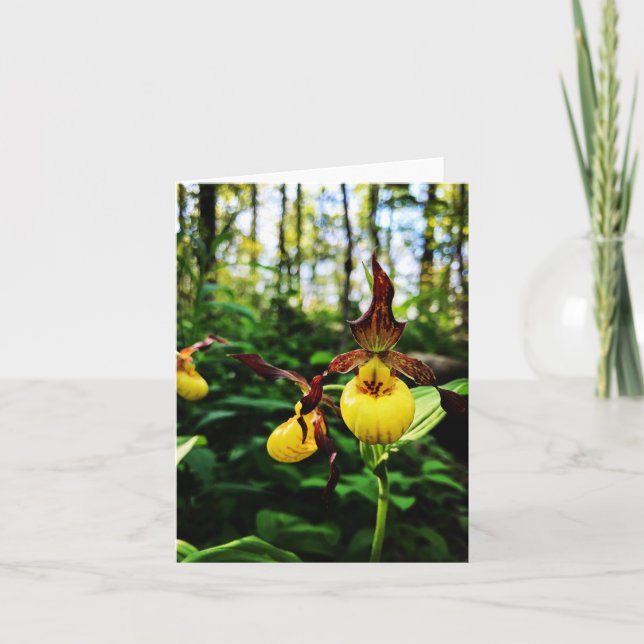 Carte de voeux pliée avec photo fleur sauvage (Devant)