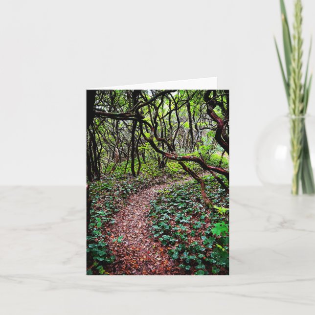 Carte de voeux pliée avec scène extérieure (Devant)