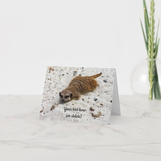 Carte de voeux pliée Chillin' Meerkat (Devant)