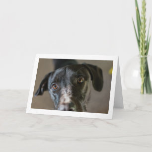 Carte de voeux pliée en blanc "Best Friend"