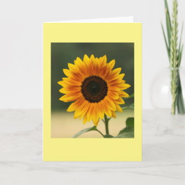 Carte de voeux pliée en blanc de tournesol d'été