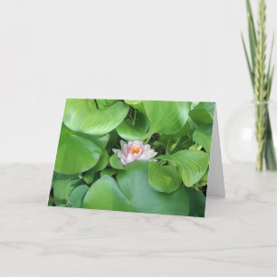 Carte de voeux pliée en lotus