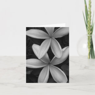 Carte de voeux pliée Fleurs noires et blanches