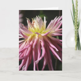 Carte de voeux pliée standard de 12,7 cm x 17,8 cm