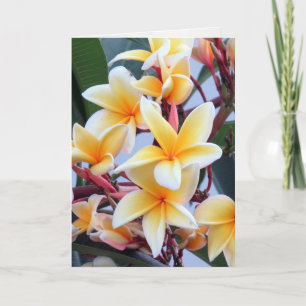 Carte de voeux Plumeria jaune