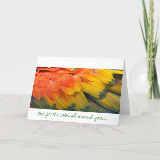 Carte de voeux, Plumes, Macaw Jaune