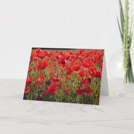 Carte de voeux Poppies