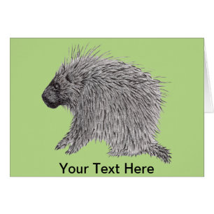 Carte de voeux Porcupine