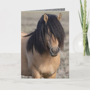 Carte de vœux portrait de Fallen Star