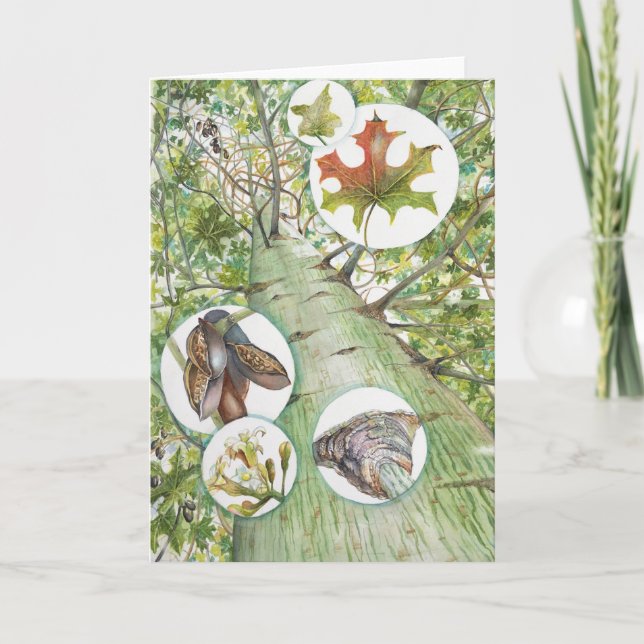 Carte de voeux pour arbre à bouteille (5" x 7") av (Devant)