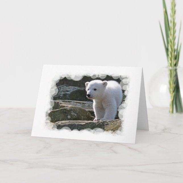 Carte de voeux pour bébé ours polaire (Devant)