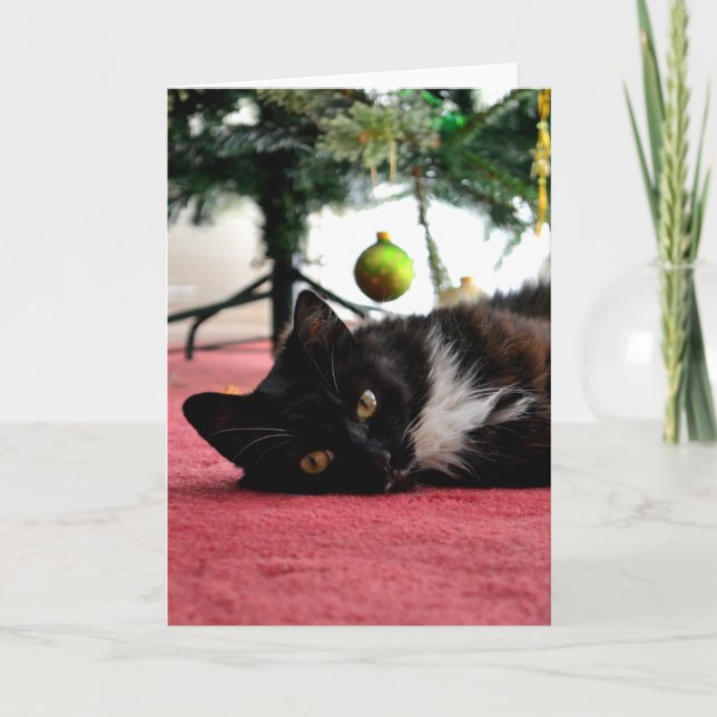 Carte de voeux pour chat Noël (Devant)