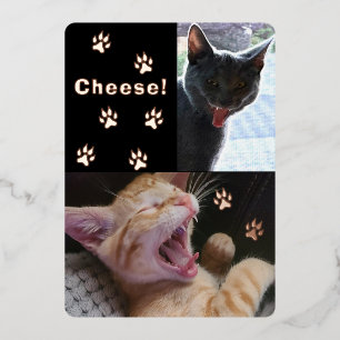 Carte de voeux pour chats riants mignons et amusan