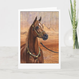 Carte de voeux pour cheval égyptien Princesse Arab