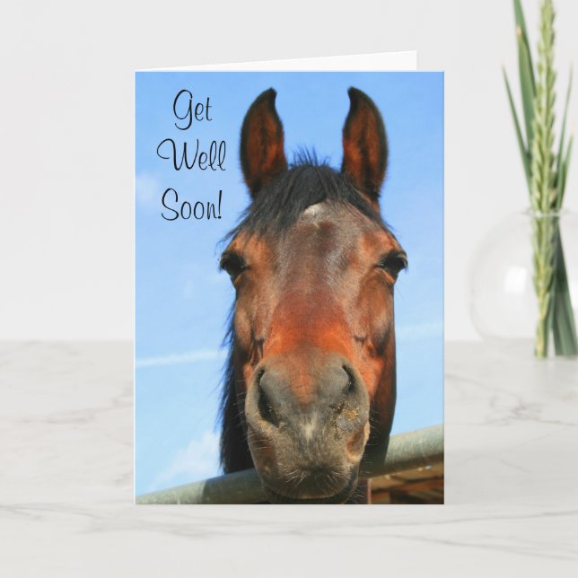 Carte de voeux pour cheval Get Well Bientôt (Devant)