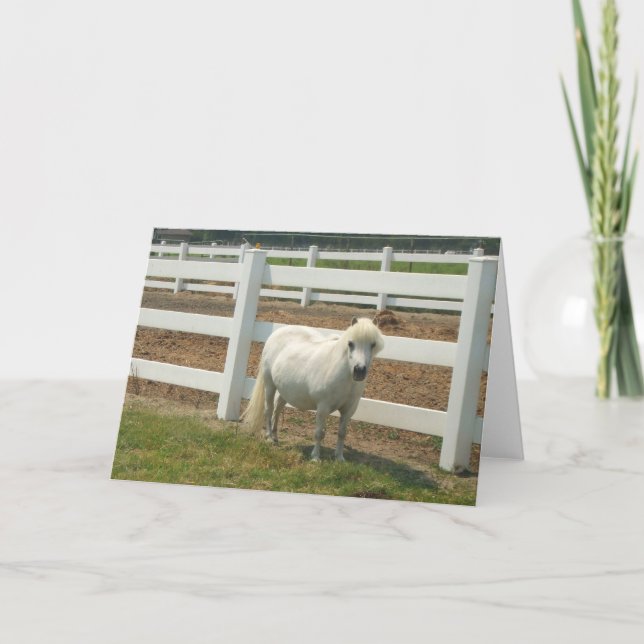 Carte de voeux pour cheval miniature blanc (Devant)