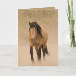 Carte de voeux pour Cheval sauvage hors de poussiè