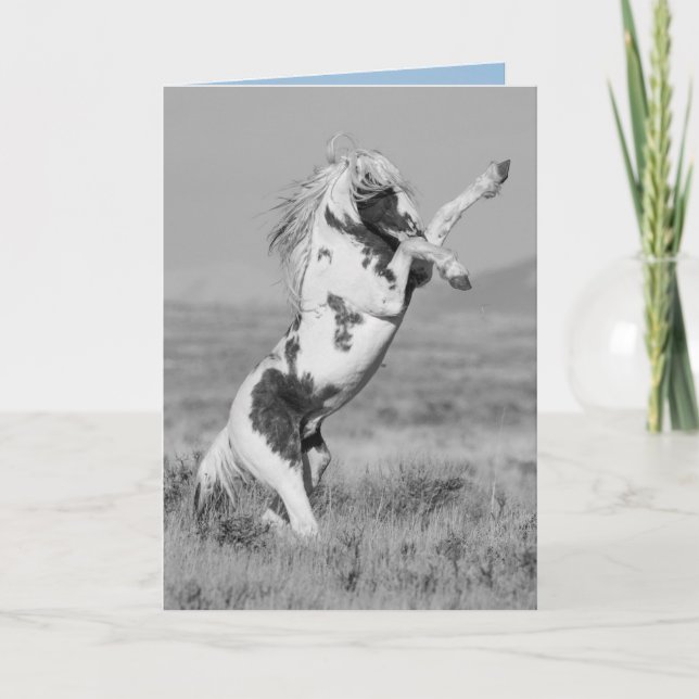 Carte de voeux pour Cheval sauvage Thars Rears (Devant)