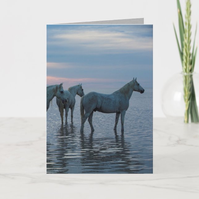 Carte de voeux pour chevaux - Camargue Horses (Devant)