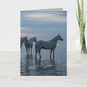 Carte de voeux pour chevaux - Camargue Horses