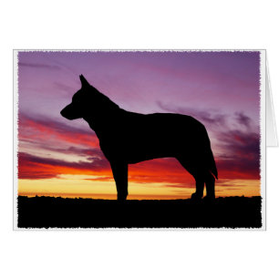 Carte de voeux pour chien de bétail australien