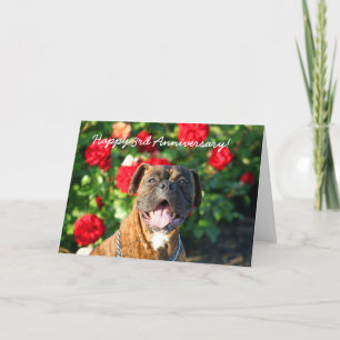 Carte de voeux pour chien de boxe du 3e anniversai