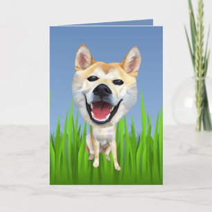 Carte de voeux pour chien de Shiba Inu