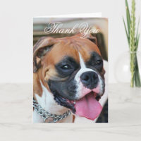 Carte de voeux pour chien Merci Boxer