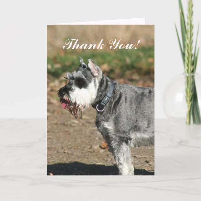Carte de voeux pour chien Merci Schnauzer (Devant)