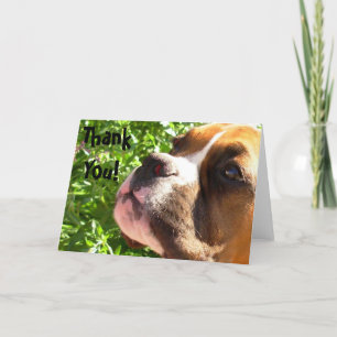 Carte de voeux pour chiot Merci Boxer