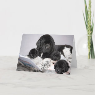 Carte de vœux pour chiot Notta Bear
