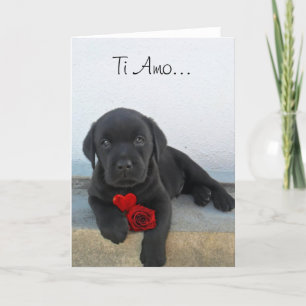 Carte de voeux pour chiot Ti Amo Labrador