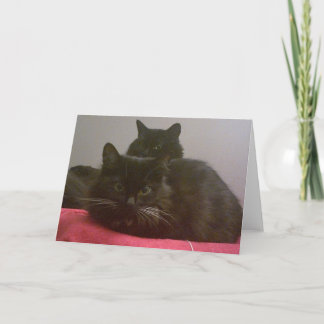 Carte de voeux pour deux chats noirs