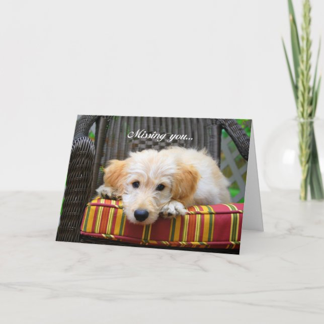 Carte de voeux pour Doodle doré (Devant)