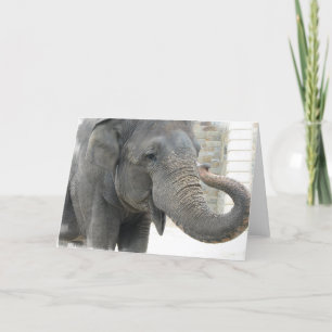 Carte de voeux pour éléphant de trompette
