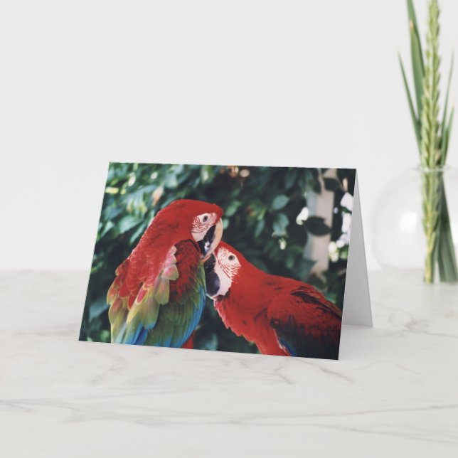 Carte de voeux pour la photo d'oiseau "Two Green W (Devant)