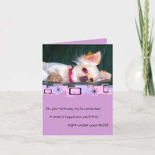 Carte de voeux pour l'anniversaire de Chihuahua
