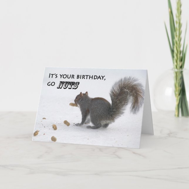 Carte de voeux pour l'anniversaire de l'écureuil d (Devant)