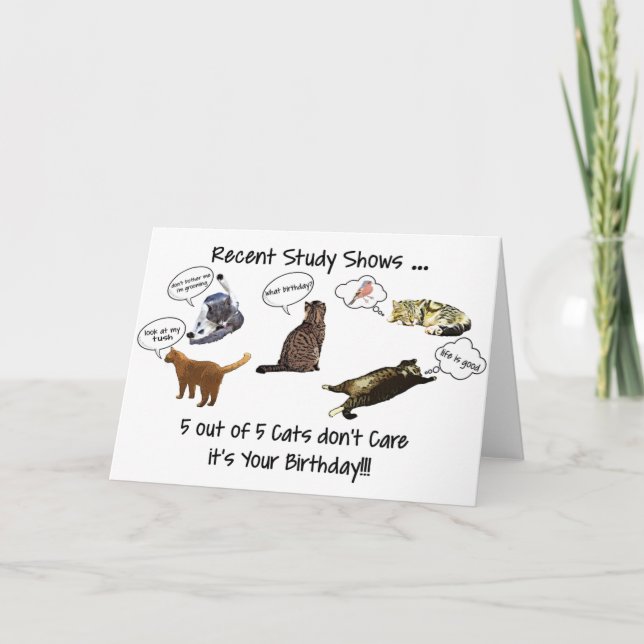 Carte de voeux pour l'anniversaire des chats amusa (Devant)