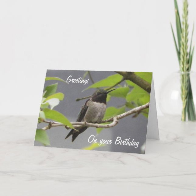 Carte de voeux pour l'anniversaire des colibris (Devant)