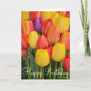 Carte de voeux pour l'anniversaire des tulipes de