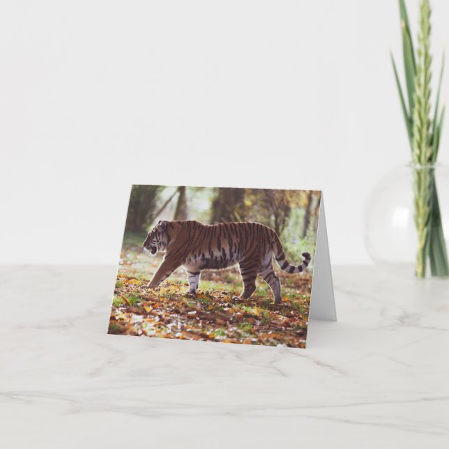 Carte de voeux pour l'anniversaire du Big Tiger (Devant)
