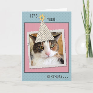 Carte de voeux pour l'anniversaire du chat