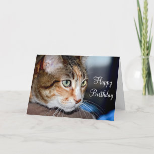 Carte de voeux pour l'anniversaire du chat étoilé