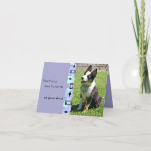 Carte de voeux pour l'anniversaire du chien de bét