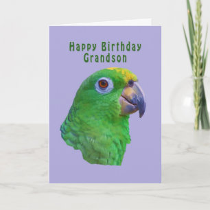 Carte de voeux pour l'anniversaire du perroquet ve