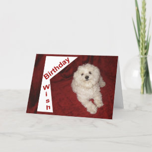 Carte de voeux pour l'anniversaire maltais pour n'