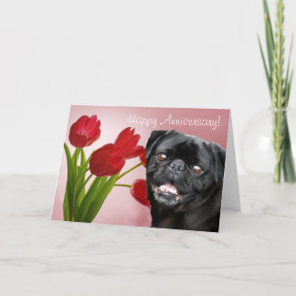 Carte de voeux pour le Carlin du Joyeux anniversai