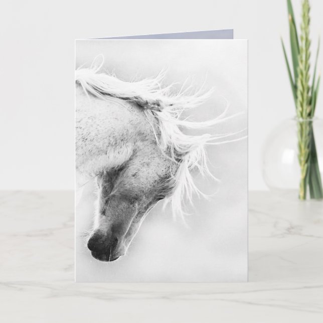 Carte de voeux pour le Cheval sauvage de la Libert (Devant)